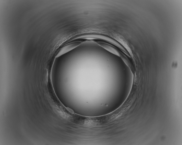 X0000096160109200801181233