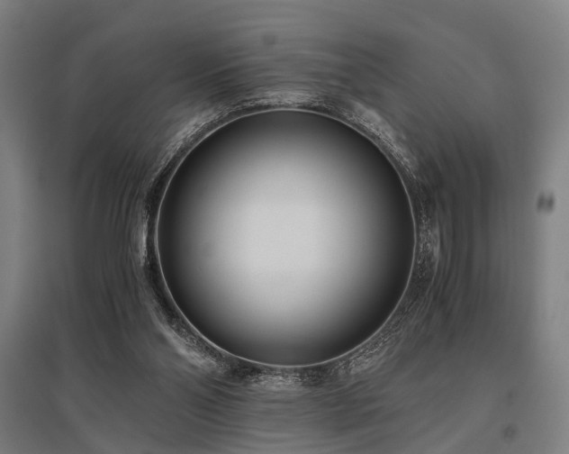 X0000096160110200801181233
