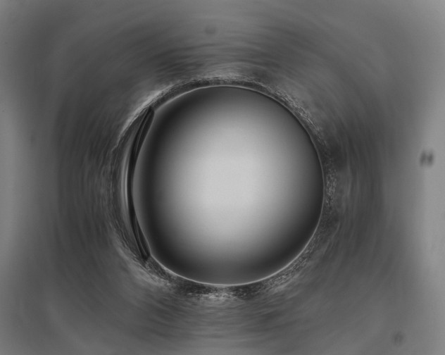 X0000096160112200801181233