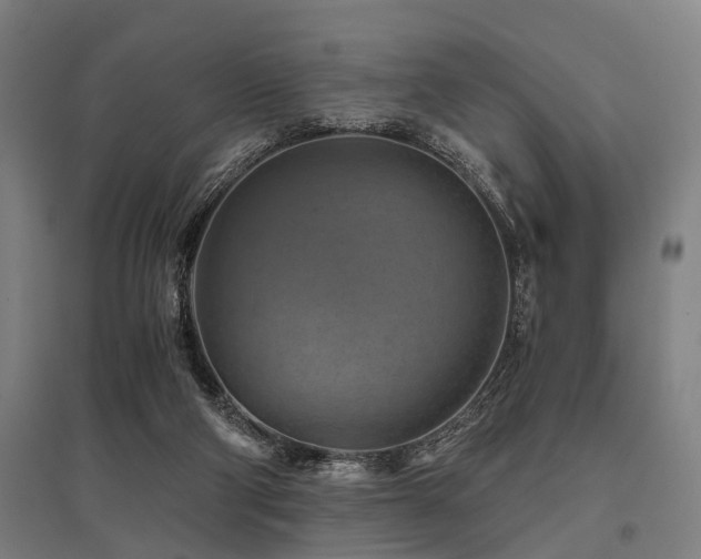 X0000096160114200801181233