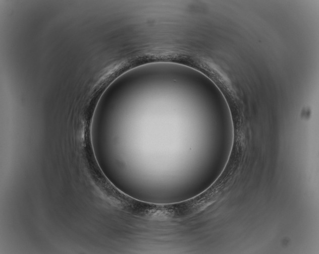 X0000096160115200801181233