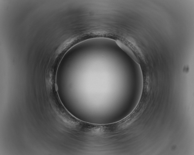 X0000096160116200801181233