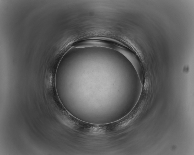 X0000096160117200801181233