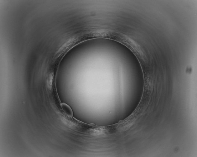 X0000096160118200801181233