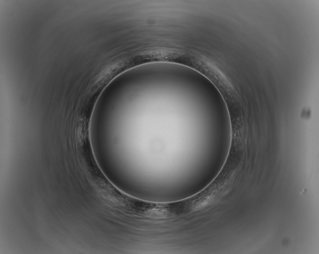 X0000096160119200801181233