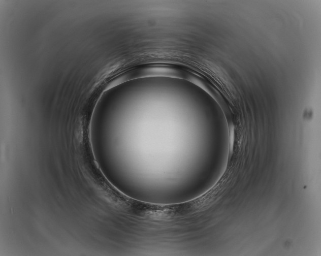 X0000096160120200801181233