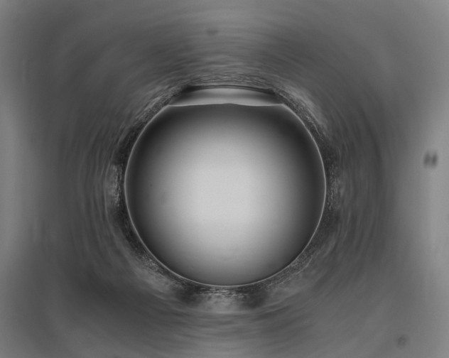 X0000096160121200801181233