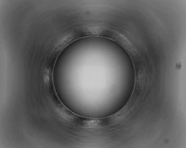 X0000096160122200801181233