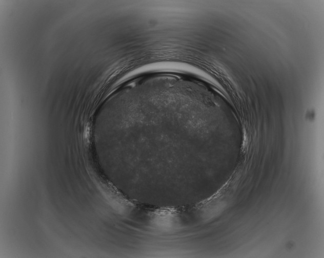 X0000096160124200801181233