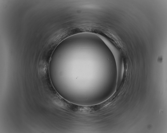 X0000096160125200801181233