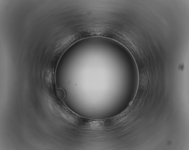 X0000096160126200801181233