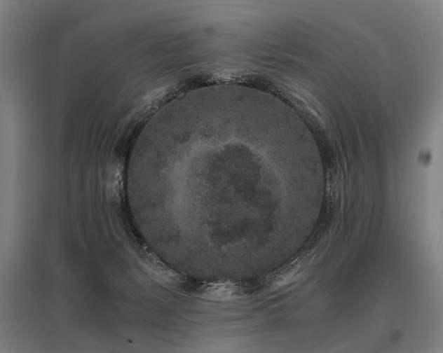 X0000096160127200801181233