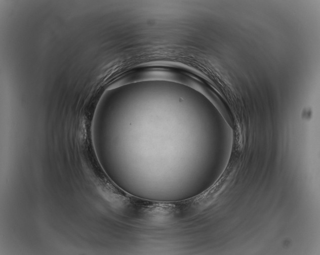 X0000096160128200801181233
