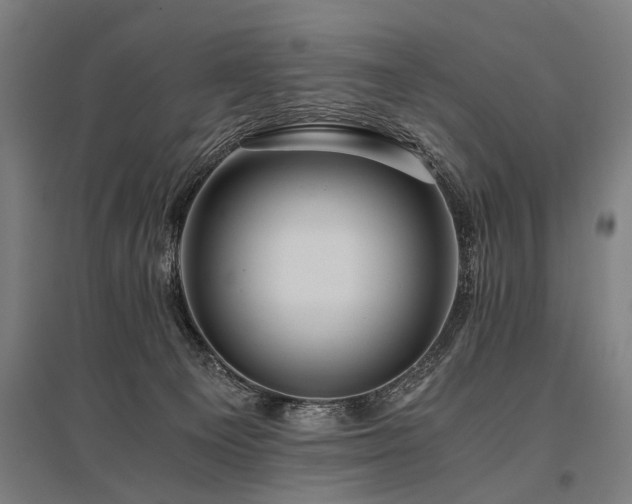 X0000096160129200801181233