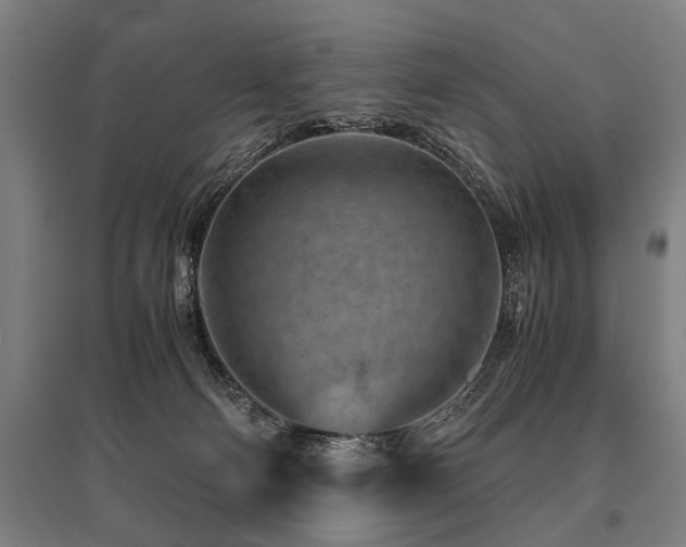 X0000096160130200801181233