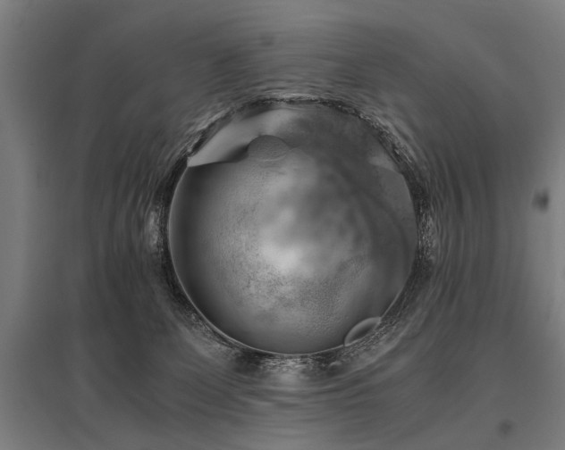 X0000096160131200801181233
