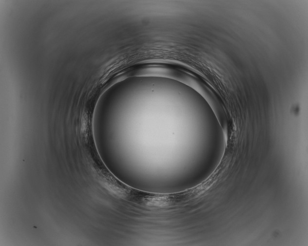 X0000096160132200801181233