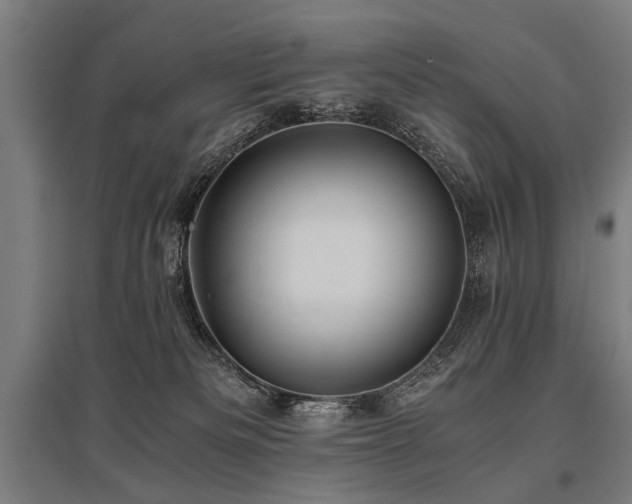 X0000096160133200801181233