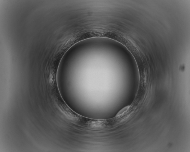 X0000096160134200801181233