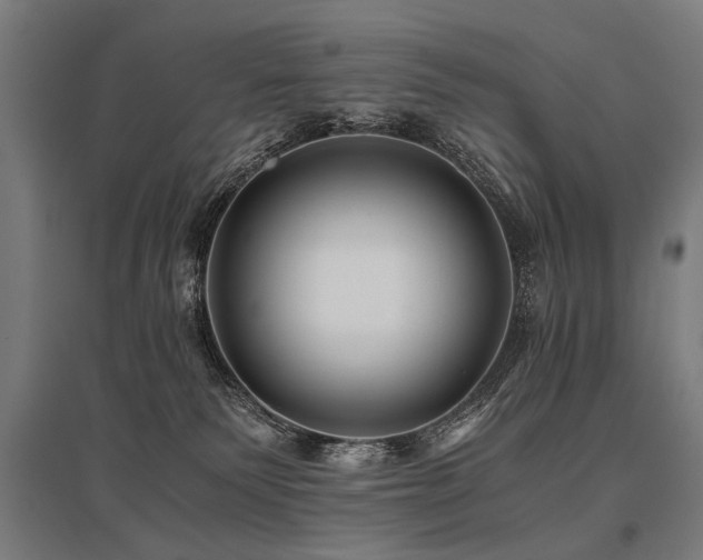 X0000096160135200801181233