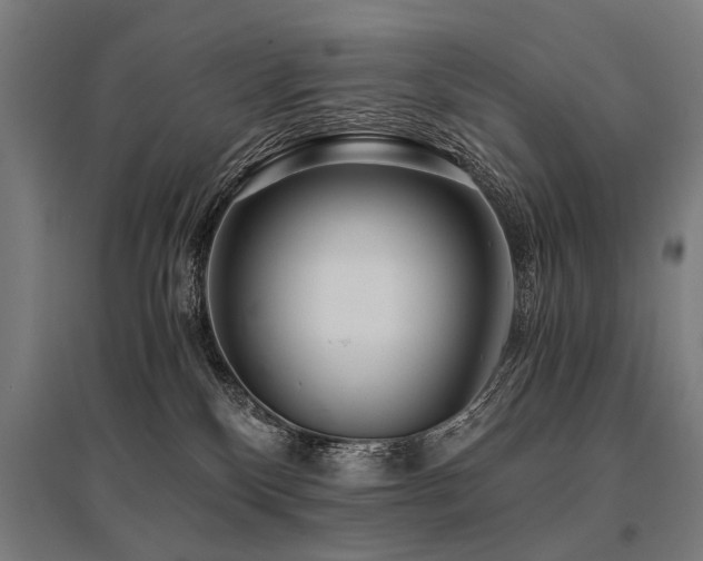 X0000096160136200801181233
