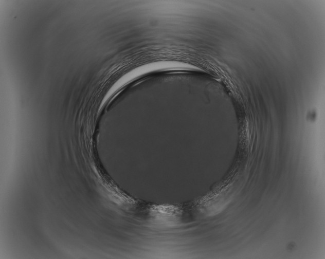 X0000096160137200801181233
