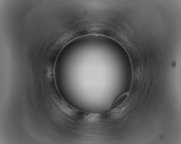 X0000096160138200801181233