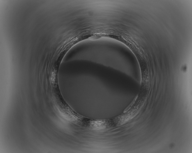 X0000096160139200801181233