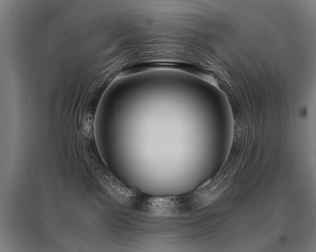X0000096160141200801181233
