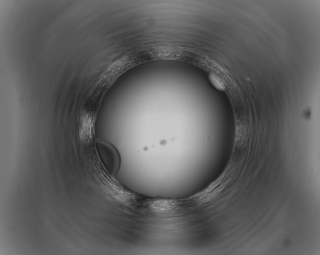 X0000096160142200801181233