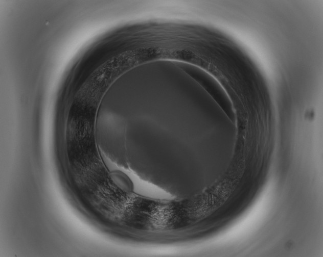 X0000096160143200801181233