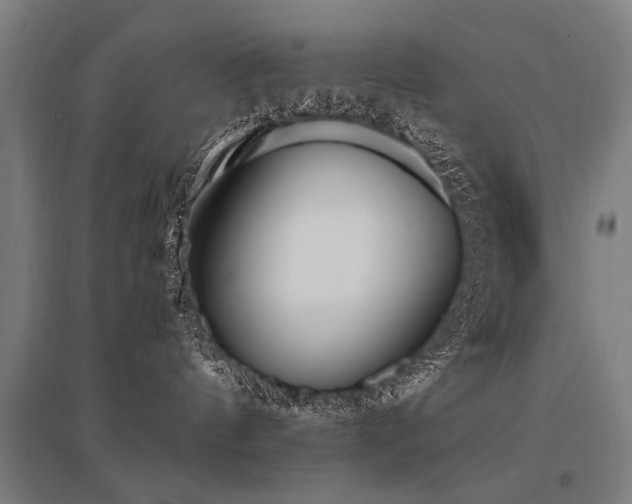 X0000096160144200801181233