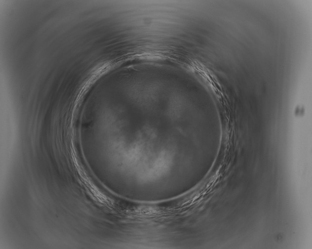 X0000096160145200801181232