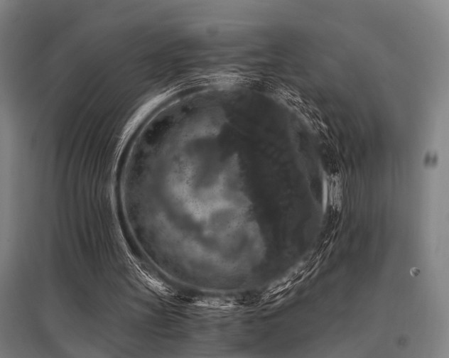 X0000096160147200801181232
