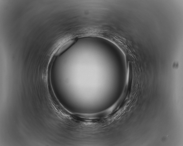 X0000096160148200801181232