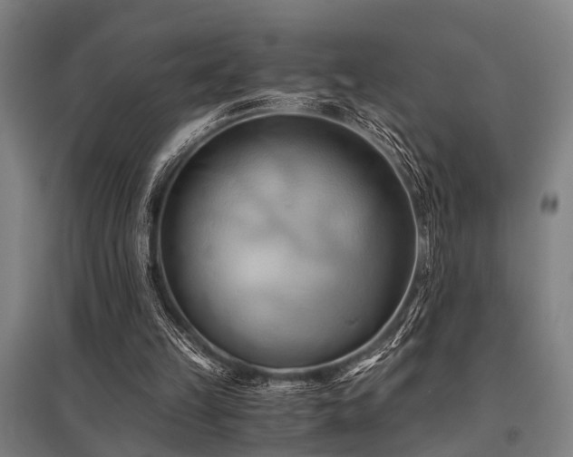 X0000096160149200801181232