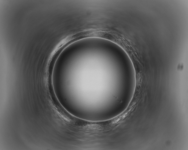 X0000096160150200801181232