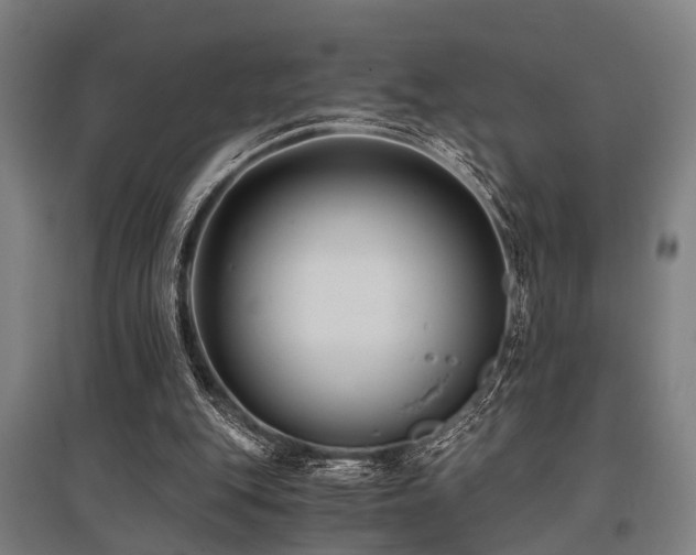 X0000096160151200801181232