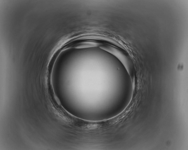 X0000096160152200801181232