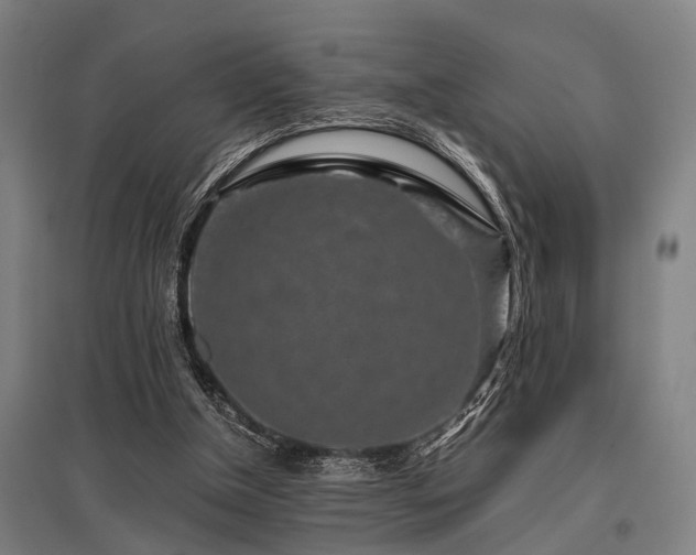 X0000096160154200801181232