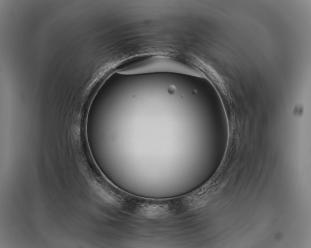 X0000096160155200801181232