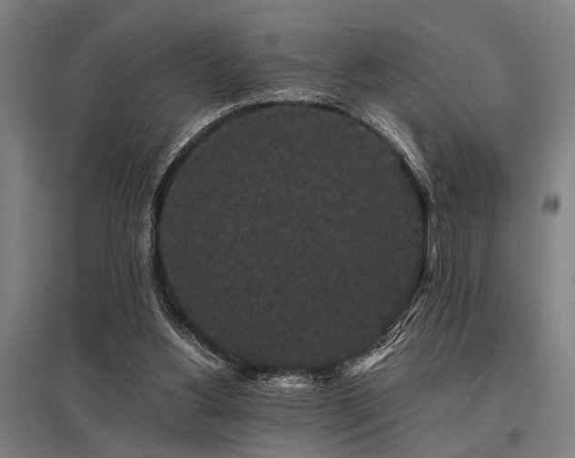 X0000096160156200801181232