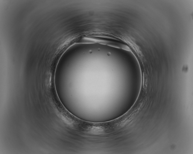 X0000096160157200801181232