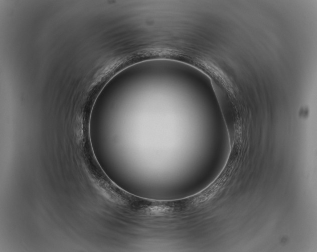 X0000096160158200801181232