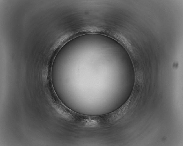 X0000096160159200801181232
