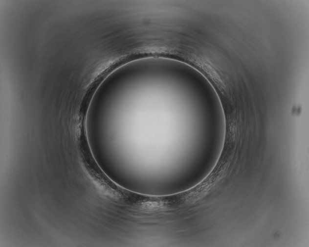 X0000096160160200801181232