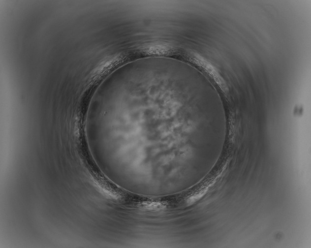 X0000096160161200801181232