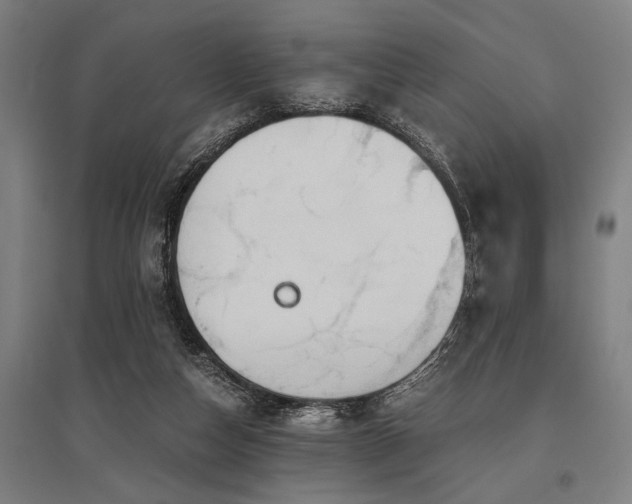 X0000096160162200801181232