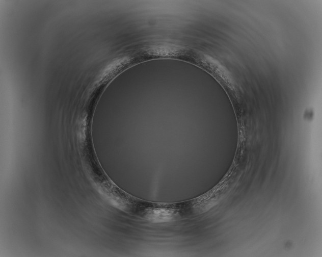X0000096160163200801181232