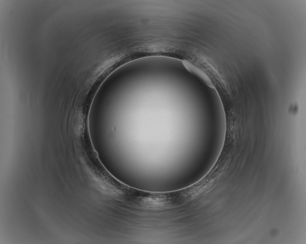 X0000096160164200801181232